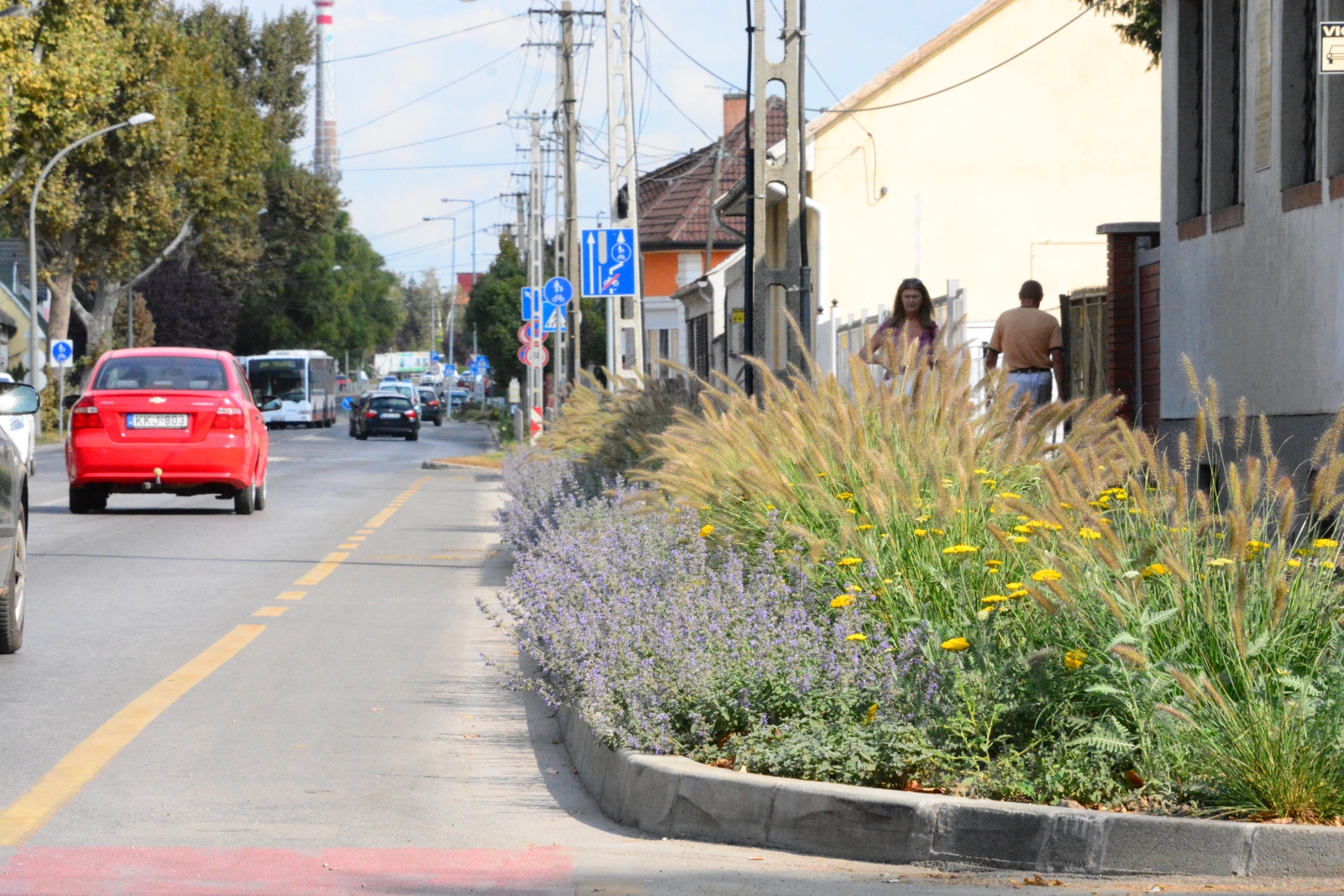 Nézze meg képeken milyen szépek a Berényi úton az évelő virágok